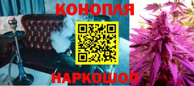 дмт Донской