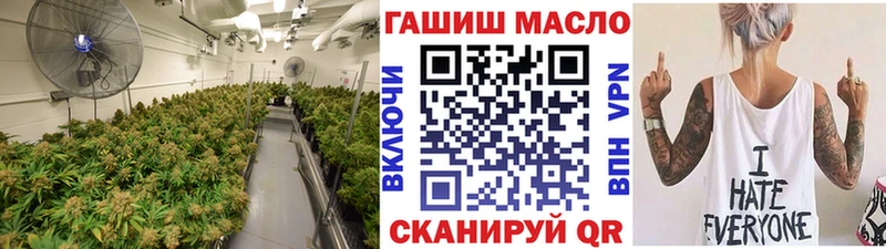 как найти закладки  Шуя  ТГК концентрат 