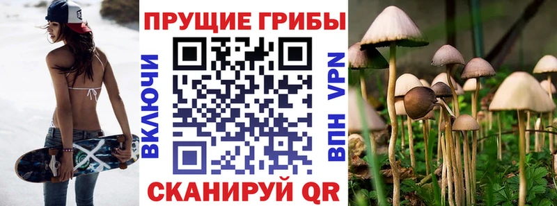 где найти   Шуя  Псилоцибиновые грибы мухоморы 