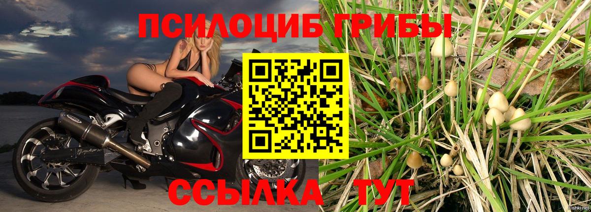 Галлюциногенные грибы ЛСД  Вход с VPN  Шуя 