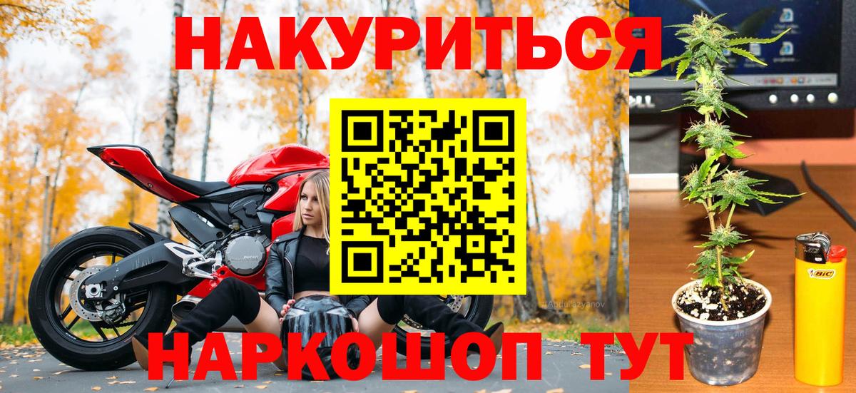Каннабис планчик Шуя